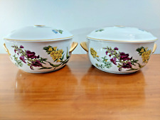 Pair beautiful spode for sale  TIVERTON