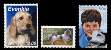Basset griffon vendeen usato  Spedire a Italy
