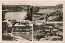 Titisee AK Pozdrowienie z Titisee Schöning-Verlag biegł 1955 na sprzedaż  Wysyłka do Poland