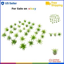 Fairy garden air for sale  San Diego
