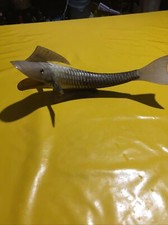 Poisson corne d'occasion  Grand-Champ