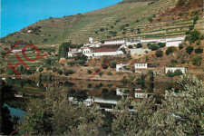 Cartão postal fotográfico:-Pinhao, Quinta De La Rosa Vineyard comprar usado  Enviando para Brazil