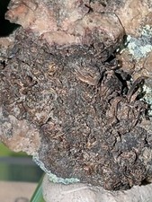 Ged silberauf dolomitaus gebraucht kaufen  Chemnitz