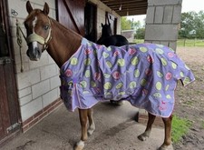Gallop ponie sweet for sale  DONCASTER