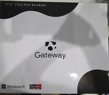 Gateway GWNR5L1746-SL 17.3" FHD Ryzen 5 5500U 2.1GHz AMD Radeon Grapics 8GB RAM comprar usado  Enviando para Brazil