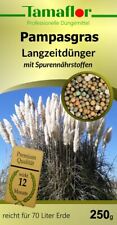 Pampasgrasdünger gräser daue gebraucht kaufen  Mönchberg