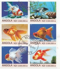 Angola fish 2000 for sale  BOURNEMOUTH