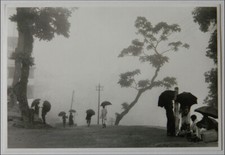 Marc riboud. darjeeling d'occasion  Houilles