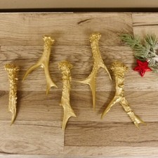 Rehstangen goldfarben gehörne gebraucht kaufen  Nagel