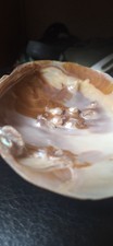 Coquille nacre concretions d'occasion  Paris XII