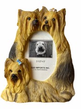 Shih tzu yorkie for sale  Forsyth