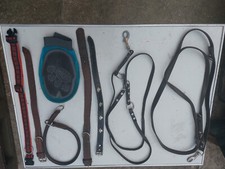 Hundeleine hundehalsband leder gebraucht kaufen  Apolda