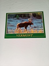 Vintage postcard vermont for sale  Gainesville