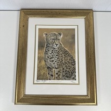 Stephen gayford cheetah for sale  RHYL