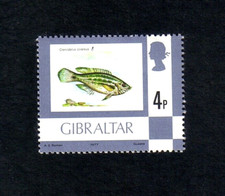 Gibraltar 1977 grey for sale  ANTRIM