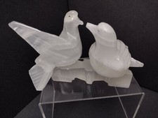 Beautiful quartz lovebirds for sale  Provo