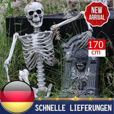 170 halloween skelett gebraucht kaufen  Frankfurt (Oder)