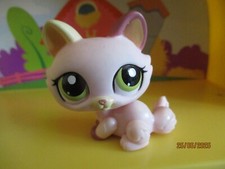 Petshop chat sphynx d'occasion  Saint-Omer