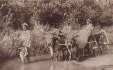 Usado, Romênia - Femei țărănești și echipă de boi - Colectia A. Bellu - Ed. C. Sfetea 4 comprar usado Usado, Romênia - Femei țărănești și echipă de boi - Colectia A. Bellu - Ed. C. Sfetea 4 comprar usado  Enviando para Brazil