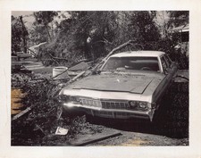 Vintage 1968 chevrolet for sale  San Diego