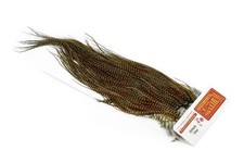 Whiting farms pro d'occasion  Romans-sur-Isère