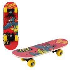Skateboard skate legno usato  Giugliano in Campania