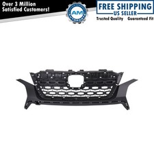 Grille fits 2019 for sale  Gardner