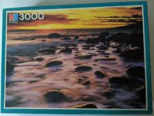 Puzzle 3000 pezzi usato  Genova