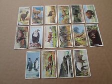 Loose natural history for sale  YORK