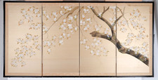 Japanese byobu tree for sale  Oceanside