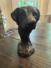 Bronze lab bust for sale  Athens