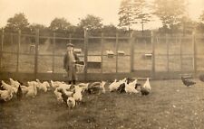 Farming. boy feeding for sale  UK
