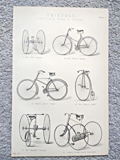 Examples tricycles antique for sale  STAFFORD