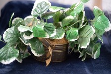 fake office house plant for sale fake office house plant for sale Montpelier