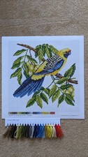 Elizabeth bradley tropical for sale  BOGNOR REGIS