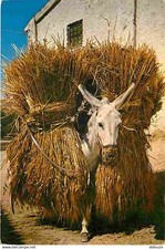 Animaux anes bourricot d'occasion  Fruges