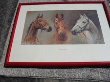 Schönes bild pferde gebraucht kaufen  Kirchheimbolanden
