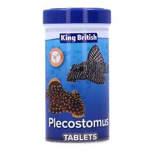 King british pleco for sale  DARTFORD
