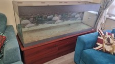 6ft fish tank for sale  WYMONDHAM