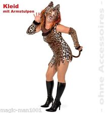 F2435 mietzekatze mietze gebraucht kaufen  Meißenheim