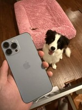 Iphone pro max for sale  Alhambra