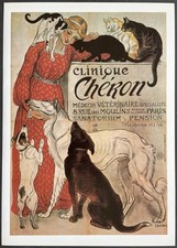 Clinique vétérinaire chéron d'occasion  Limoges-