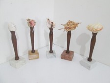 Conchiglie collezione usato  Lizzanello