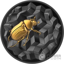 Scarabeo éntoma moneta usato Scarabeo éntoma moneta usato  Ciampino