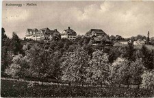 Hohenegg meilen 139906 gebraucht kaufen  Eimeldingen