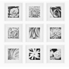 Piece photo gallery for sale  Baltimore