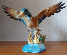 Wildente capodimonte gebraucht kaufen  Johanngeorgenstadt