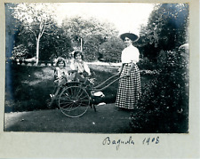 The wheelbarrow garden d'occasion  Expédié en Belgium