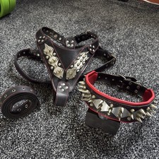 Bestia steel harness for sale  BATHGATE