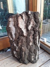 Riesige schale höhle gebraucht kaufen  Werneuchen